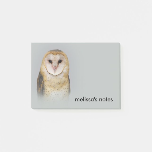 A Serene and Beautiful Barn Owl Post-it Notes (Front)
