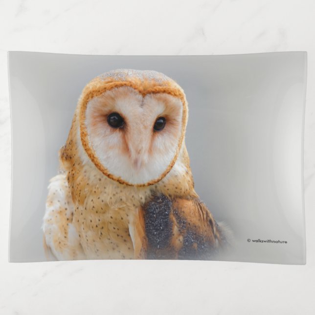 A Serene and Beautiful Barn Owl Trinket Tray (Front)
