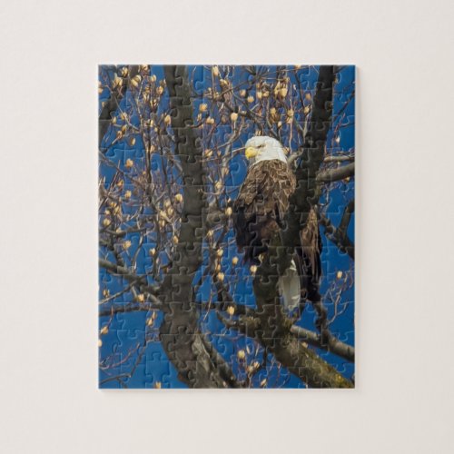 A Serious Bald Eagle Jigsaw Puzzle