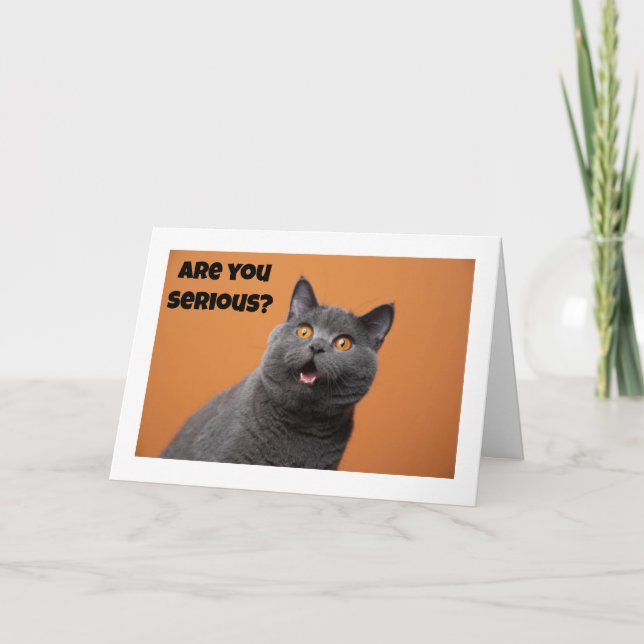 A SERIOUS CAT SAYS "HAPPY 60th BIRTHDAY" Card (Front)