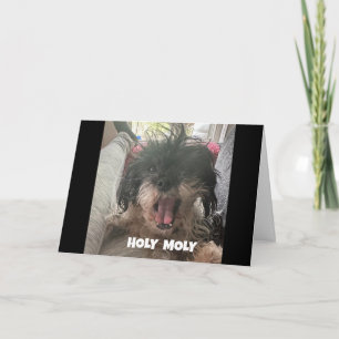 A SERIOUS DOG SAYS "HAPPY 40th BIRTHDAY" Card