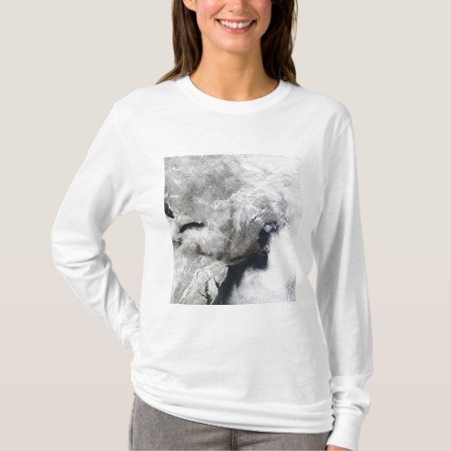 A severe winter storm T_Shirt