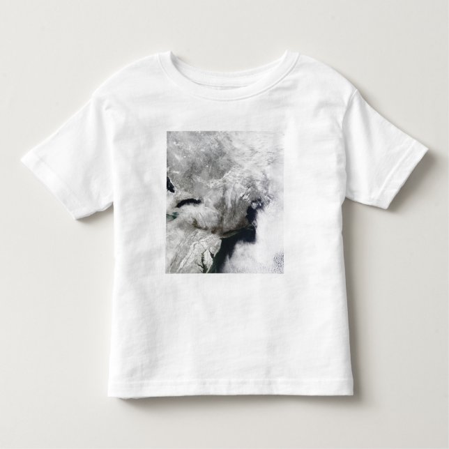 A severe winter storm toddler t-shirt (Front)
