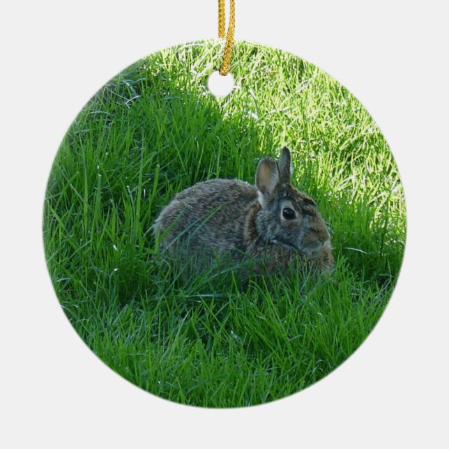A Shady Bunny Ceramic Ornament (Front)