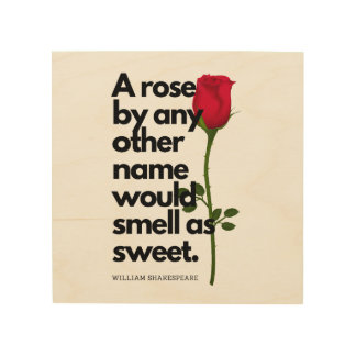A SHAKESPEARE POEM AND A ROSE  Canvas Print