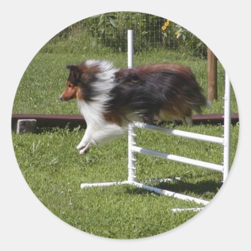 A Sheltie Clears the Bar Classic Round Sticker