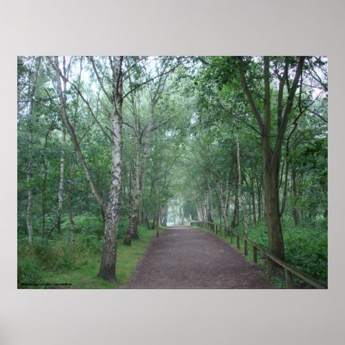 A Sherwood Forest Path Poster