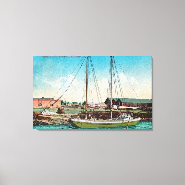 A Shipping Schooner ScenePetaluma, CA Canvas Print (Front)