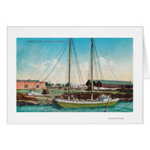 A Shipping Schooner ScenePetaluma, CA Cards