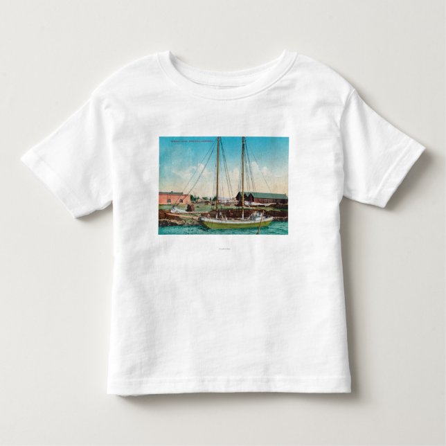 A Shipping Schooner ScenePetaluma, CA Toddler T-shirt (Front)