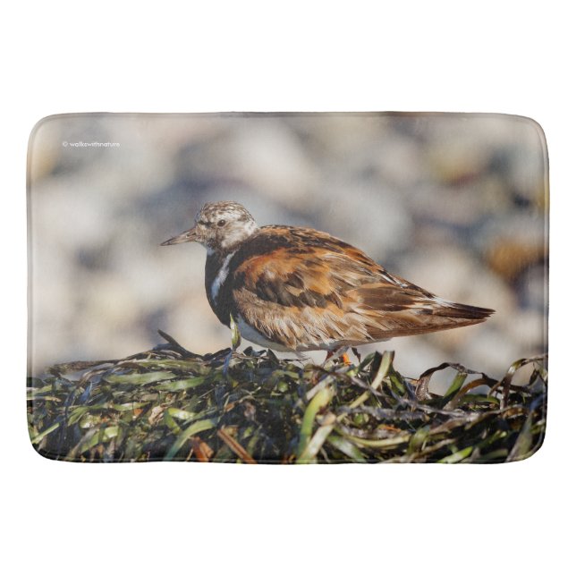 A Showstopping Ruddy Turnstone Bathroom Mat (Front)