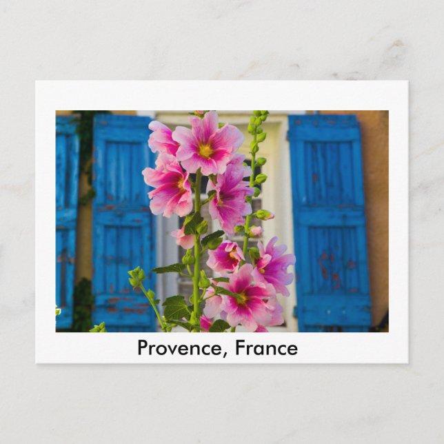 A Shutter in Provence, France Postcard (Front)