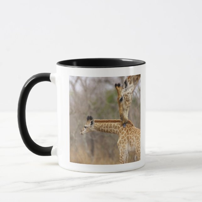 A side view of a Giraffe licking its young, Mug (Left)