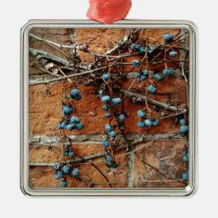 A sign of winter, Vine Berries and Brick Wall Metal Ornament