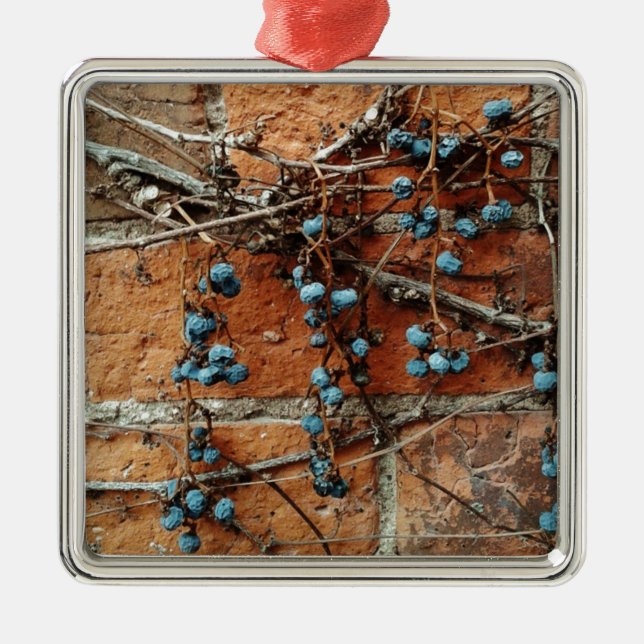 A sign of winter, Vine Berries and Brick Wall Metal Ornament (Front)