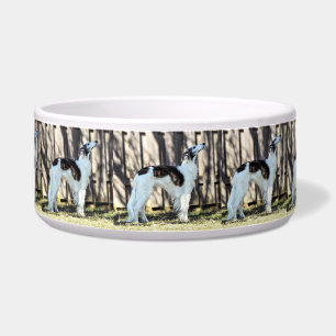 A Silken Windhound Bowl