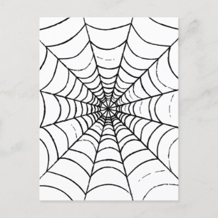 A Simple Spider's Web - Close Up Postcard