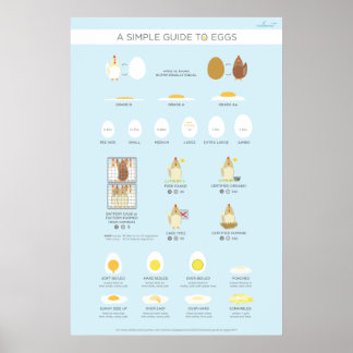 A simple (visual) guide to eggs poster