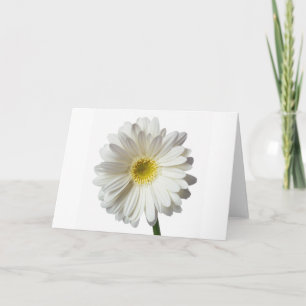 A Single Daisy for you and the Cancer Warrior Thank You Card