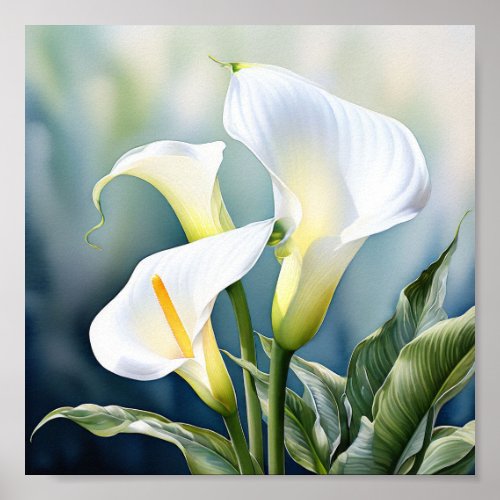 A single elegant calla lily poster