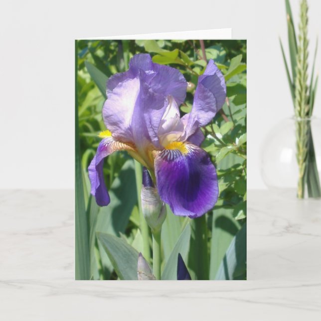 a single perfect iris card (Front)