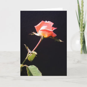 A single rose card