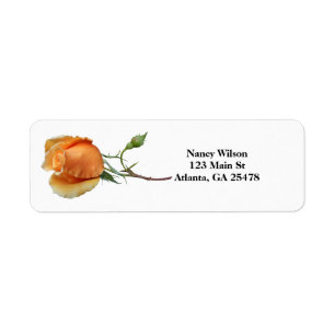 A single rose cutting label