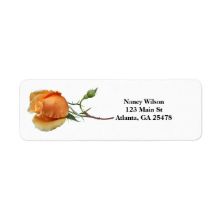 A single rose cutting label