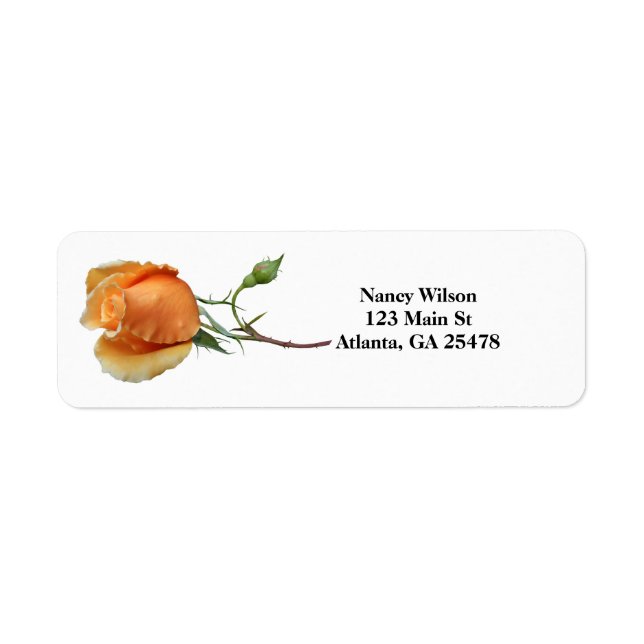 A single rose cutting label (Front)