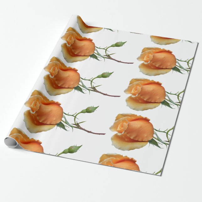 A single rose cutting    wrapping paper (Unrolled)