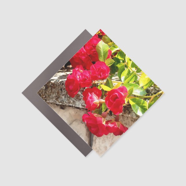 A single rose for a lifetime sentence  car magnet (Front)