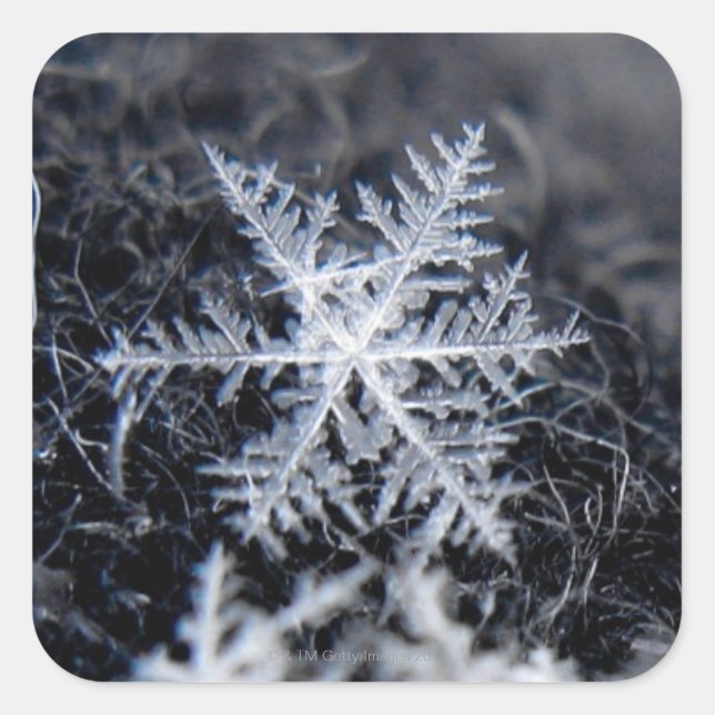 A single snowflake on stands out square sticker (Front)