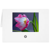 A single tulip cards (Back Horizontal)