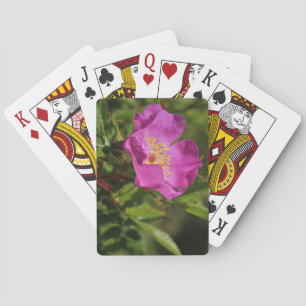 A Single Wild Rose Poker Cards