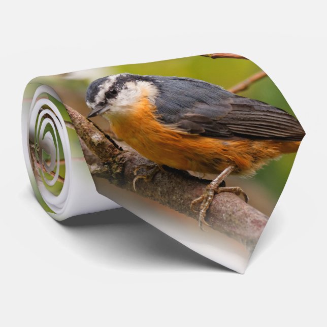 A Skeptical Red-Breasted Nuthatch Neck Tie (Rolled)