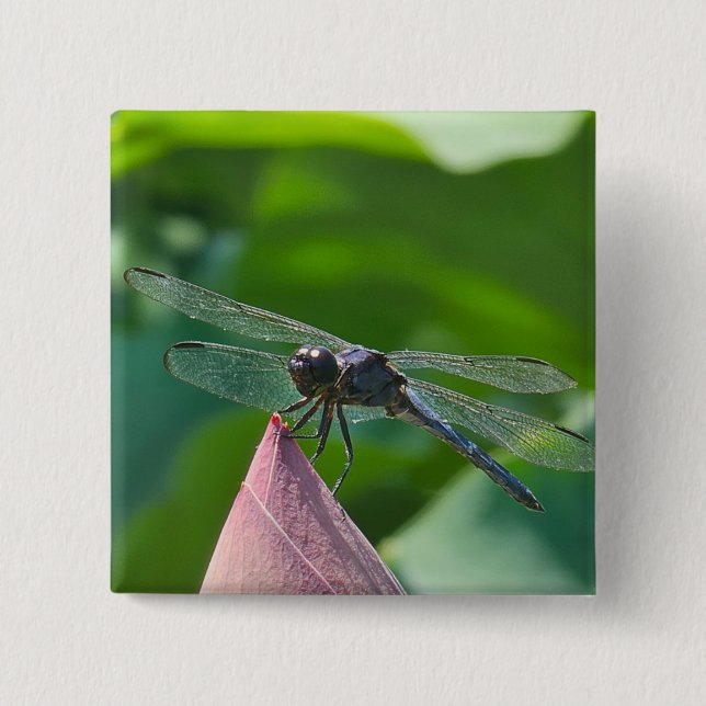 A Slaty Skimmer dragonfly Button (Front)