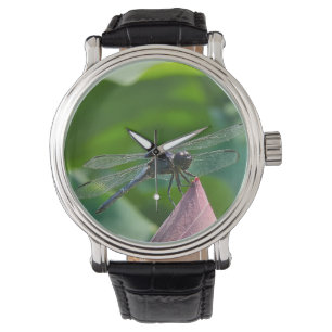 A Slaty Skimmer dragonfly Watch