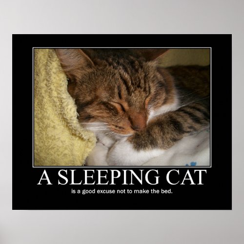 A Sleeping Cat Artwork Poster