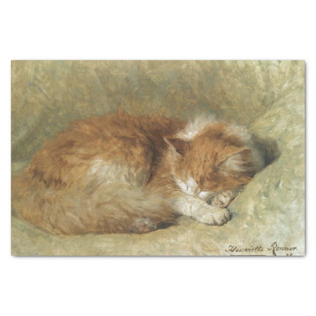 A Sleeping Cat by Henriette Ronner-Knip Tissue Paper | Zazzle