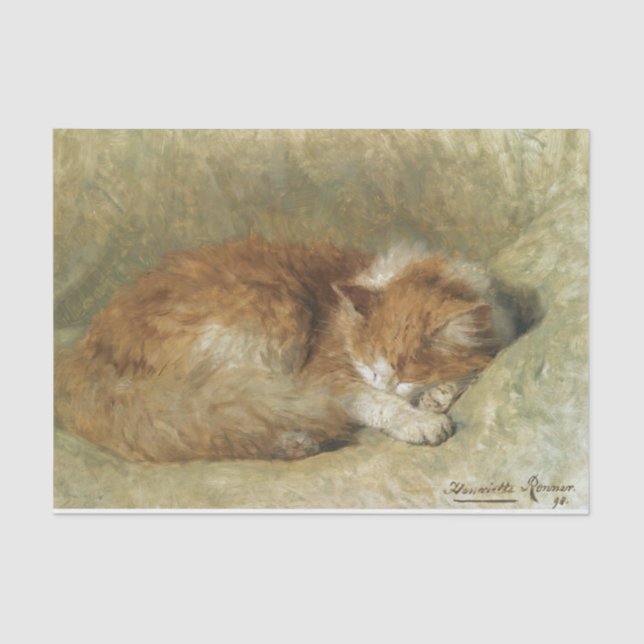 A Sleeping Cat by Henriette Ronner-Knip Tissue Paper (Front)