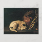 Gerrit dou shops sleeping dog