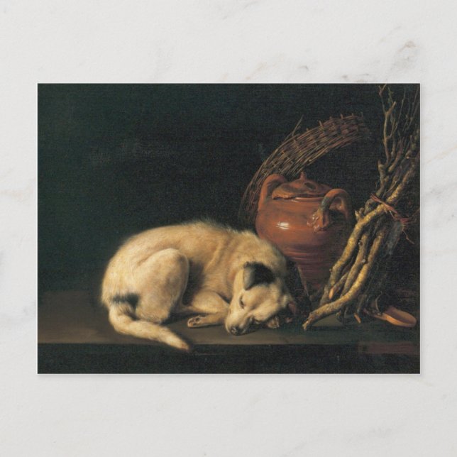 A Sleeping Dog with Terracotta Pot by Gerrit Dou Postcard (Front)