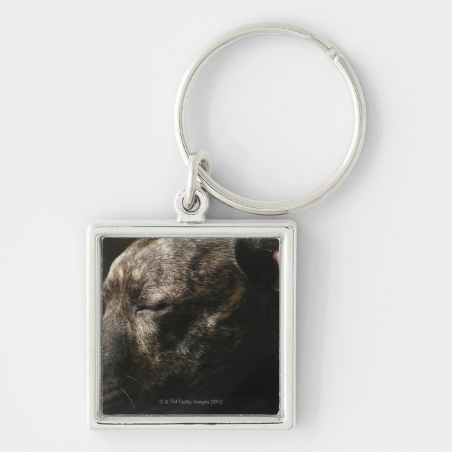 A sleeping pit bull dog keychain (Front)