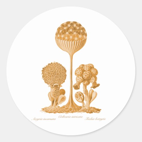 A Slime Mould Classic Round Sticker