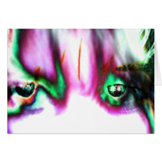 A Small Accident (Front Horizontal)