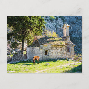 A Small Church in the Mountains of Montenegro Postcard