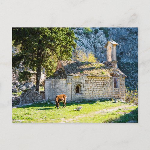 A Small Church in the Mountains of Montenegro Postcard