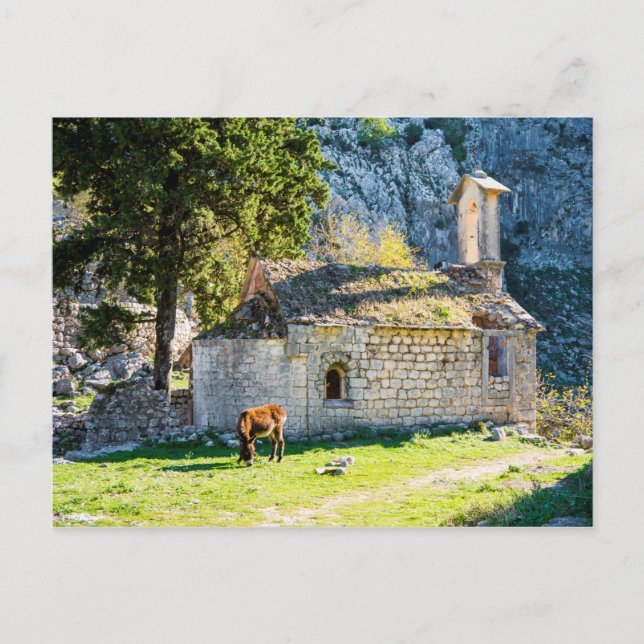 A Small Church in the Mountains of Montenegro Postcard (Front)