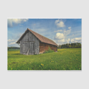 A Small Gray and Brown Barn in a Flower Field Tissue Paper