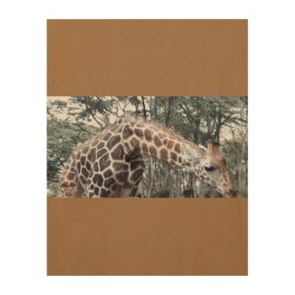 A smart wood wall art